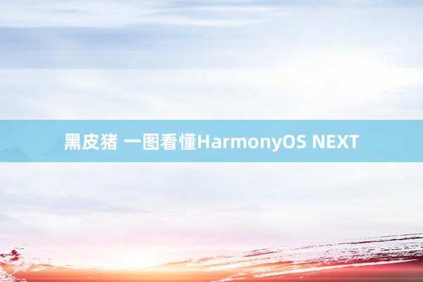 黑皮猪 一图看懂HarmonyOS NEXT