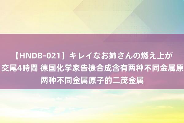 【HNDB-021】キレイなお姉さんの燃え上がる本物中出し交尾4時間 德国化学家告捷合成含有两种不同金属原子的二茂金属