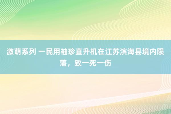 激萌系列 一民用袖珍直升机在江苏滨海县境内陨落，致一死一伤