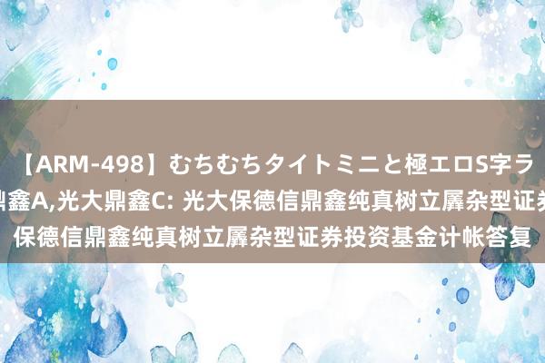 【ARM-498】むちむちタイトミニと極エロS字ライン 2 AIKA 光大鼎鑫A，光大鼎鑫C: 光大保德信鼎鑫纯真树立羼杂型证券投资基金计帐答复