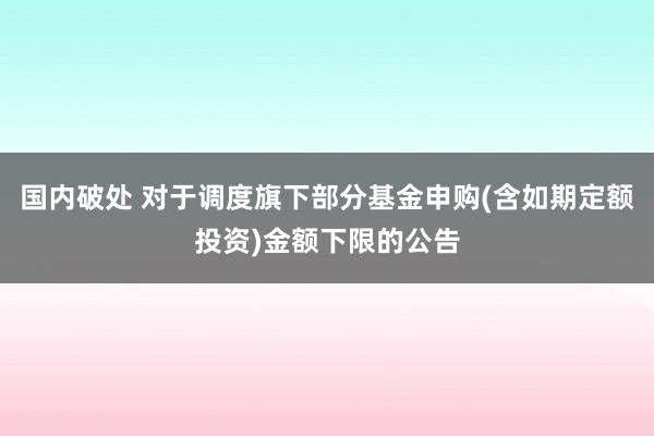 国内破处 对于调度旗下部分基金申购(含如期定额投资)金额下限的公告