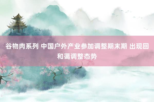 谷物肉系列 中国户外产业参加调整期末期 出现回和蔼调整态势