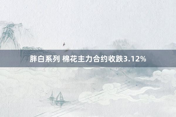 胖白系列 棉花主力合约收跌3.12%