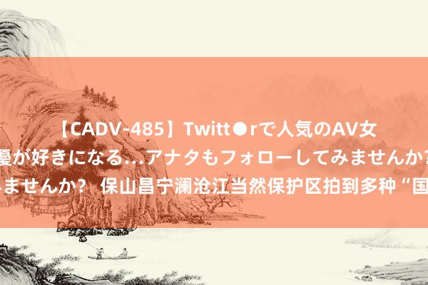 【CADV-485】Twitt●rで人気のAV女優 SNSでますますAV女優が好きになる…アナタもフォローしてみませんか？ 保山昌宁澜沧江当然保护区拍到多种“国保”动物步履画面