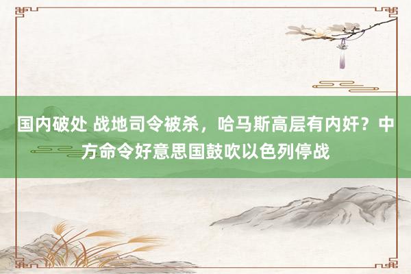 国内破处 战地司令被杀，哈马斯高层有内奸？中方命令好意思国鼓吹以色列停战