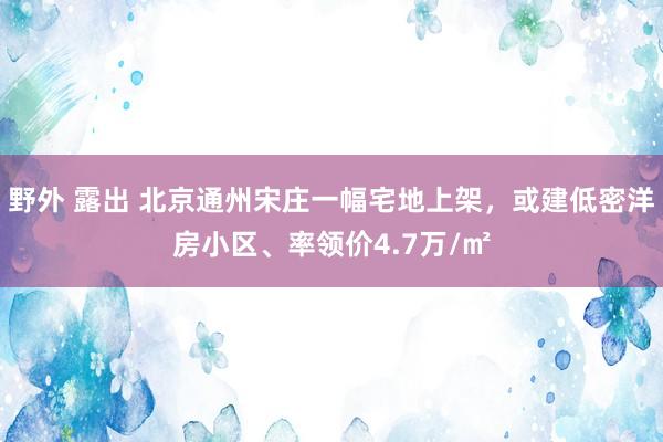 野外 露出 北京通州宋庄一幅宅地上架，或建低密洋房小区、率领价4.7万/㎡