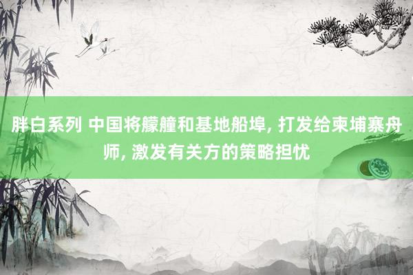 胖白系列 中国将艨艟和基地船埠， 打发给柬埔寨舟师， 激发有关方的策略担忧