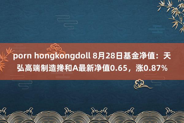 porn hongkongdoll 8月28日基金净值：天弘高端制造搀和A最新净值0.65，涨0.87%