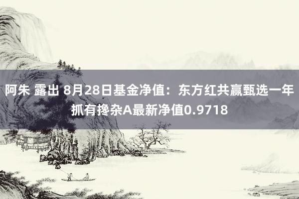 阿朱 露出 8月28日基金净值：东方红共赢甄选一年抓有搀杂A最新净值0.9718