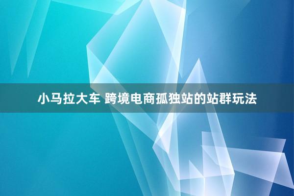 小马拉大车 跨境电商孤独站的站群玩法