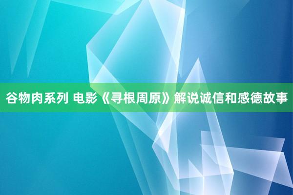 谷物肉系列 电影《寻根周原》解说诚信和感德故事